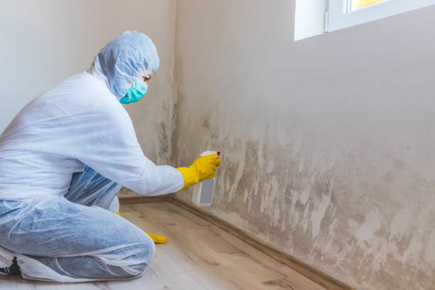 Licensed Crawl Space Mold Removal service in New Providence, PA - WQB Mold Removal
