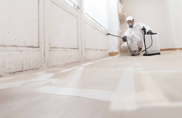 24/7 Emergency Crawl Space Mold Removal experts in New Providence, PA