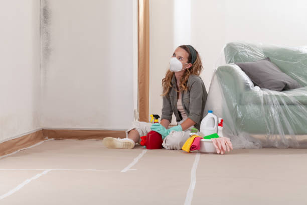 Reliable Crawl Space Mold Removal contractor in New Providence, PA by WQB Mold Removal