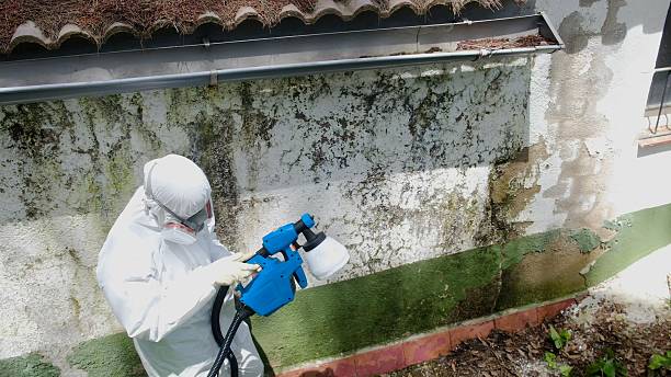 Top rated local Crawl Space Mold Removal specialists in New Providence, PA